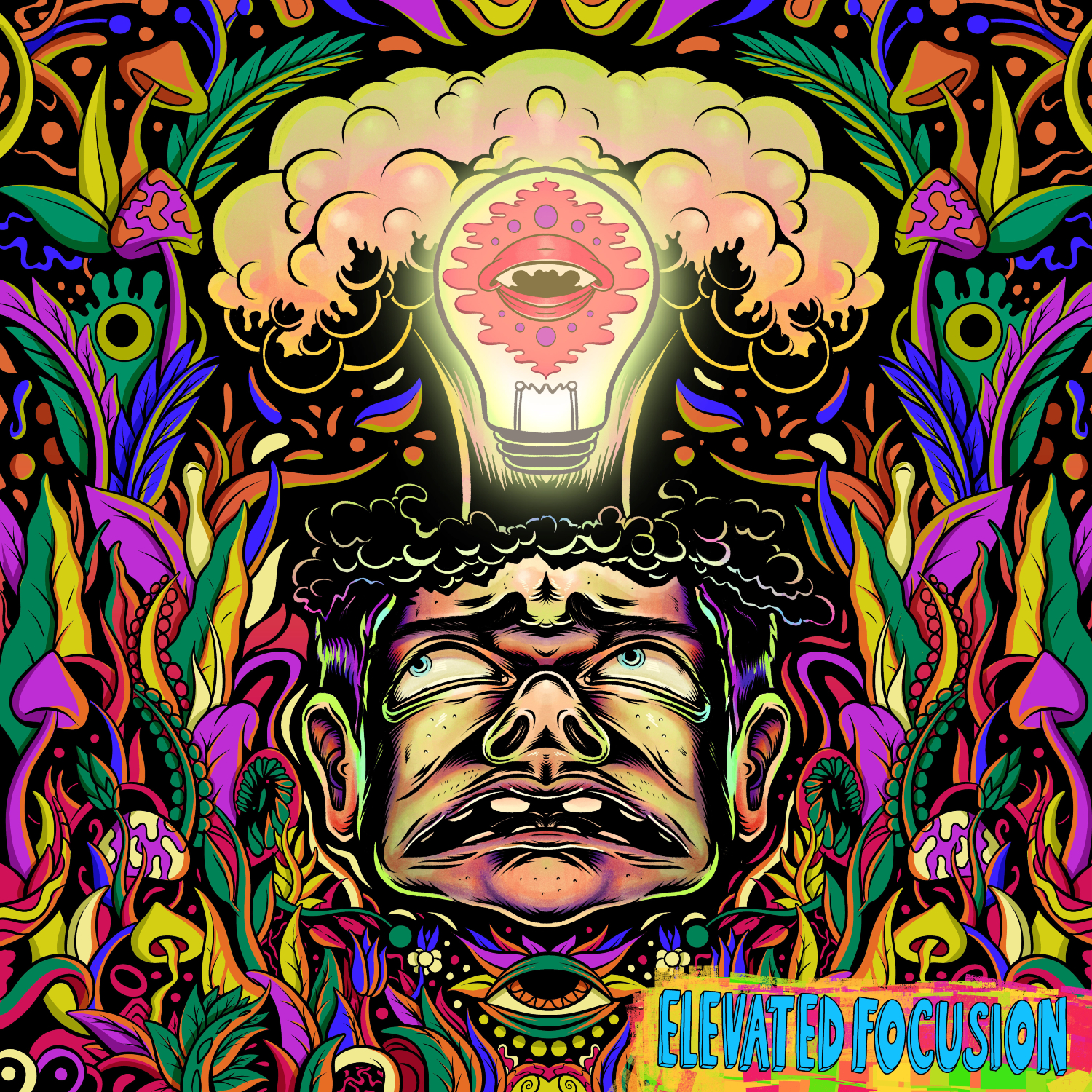 Elevated Focusion – Elevated Focusion LP