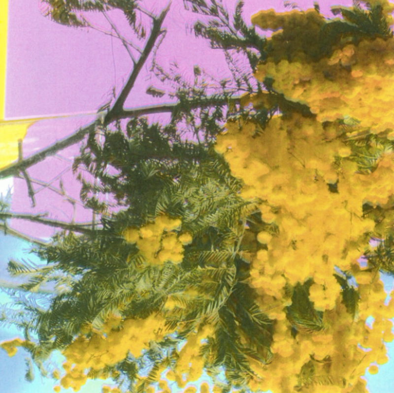 Four Tet samples Mazzy Star on New Single ‘Into Dust (Still Falling)’