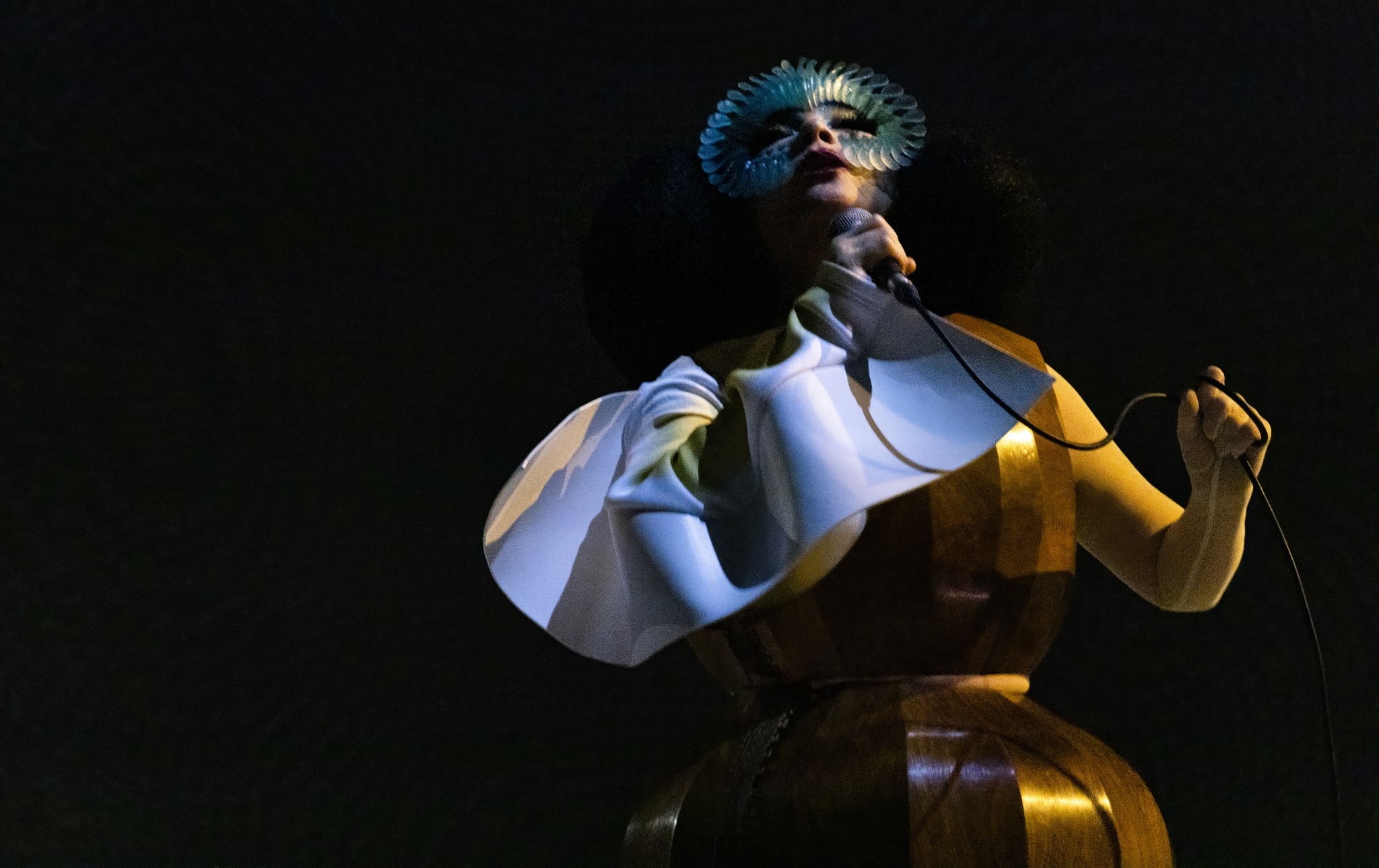 Björk Confirms that First Album in 4 Years Will be Released in 2026