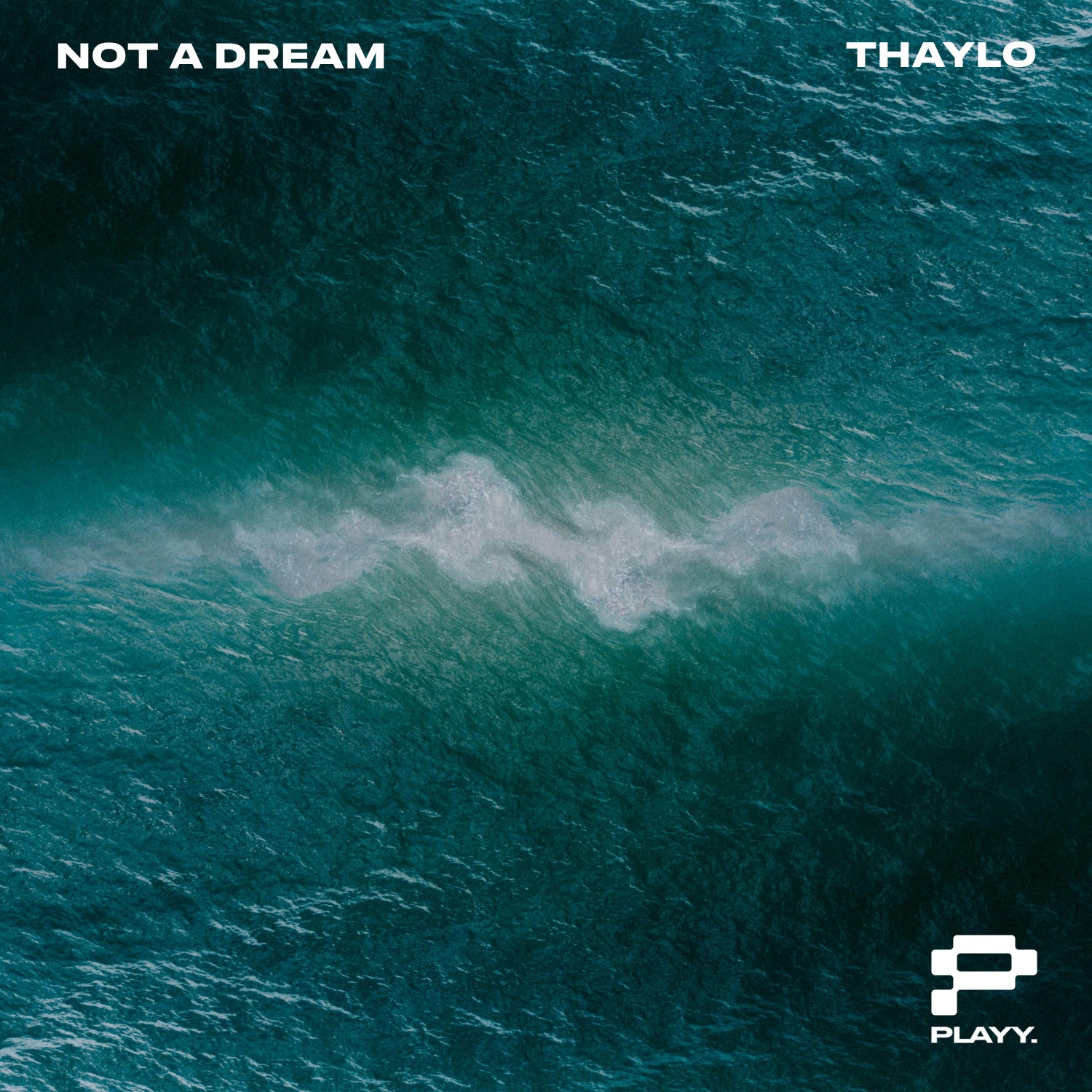 Thaylo returns with stellar new offering ‘Not A Dream’